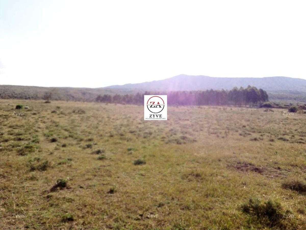 18 ac Land at Swara Ranch - 12