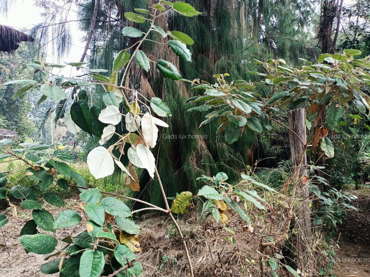 0.5 ac Residential Land at Hillcrest - 5