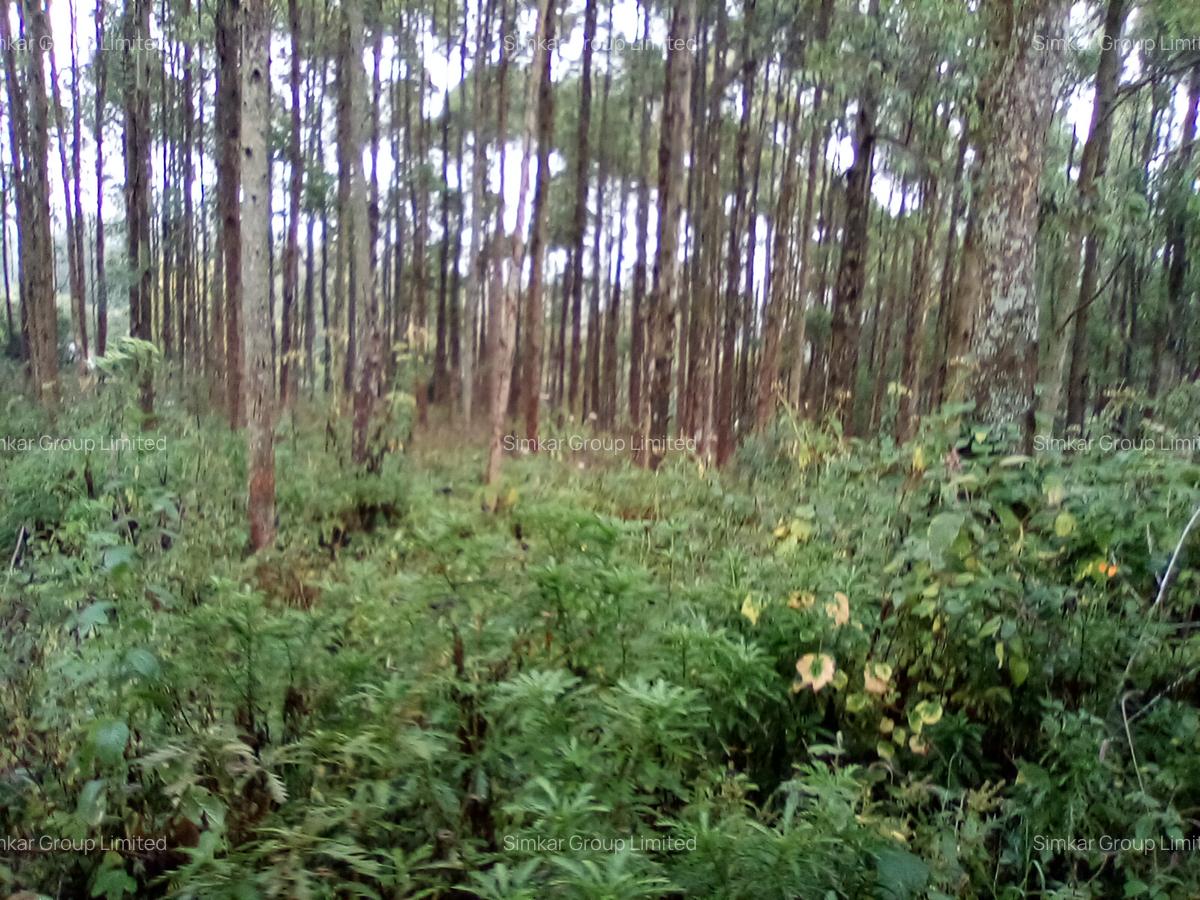 Land at Upper Matasia - 4