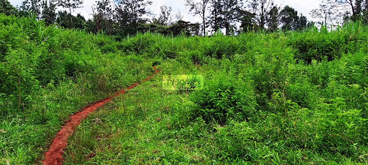 0.64 ac Residential Land in Thindigua - 4