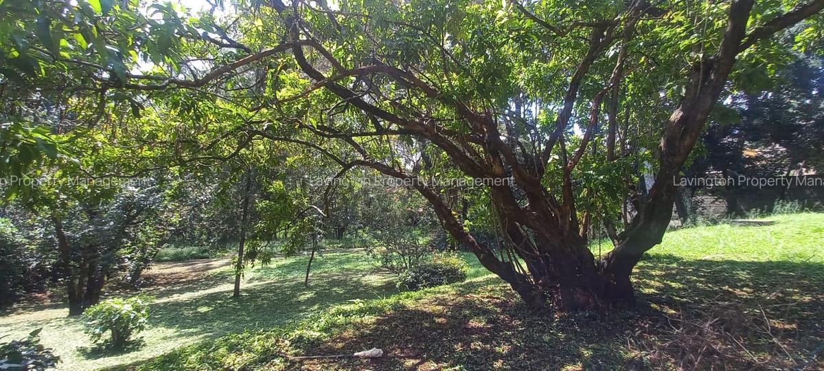 1.1 ac Land at Njumbi Road - 7