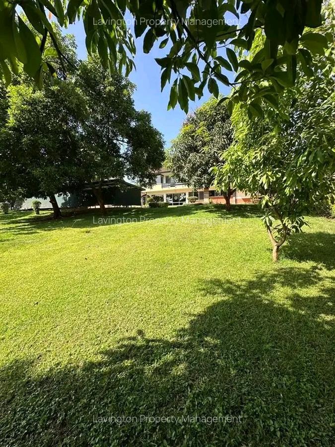 Commercial Property with Backup Generator at Lavington Green - 2