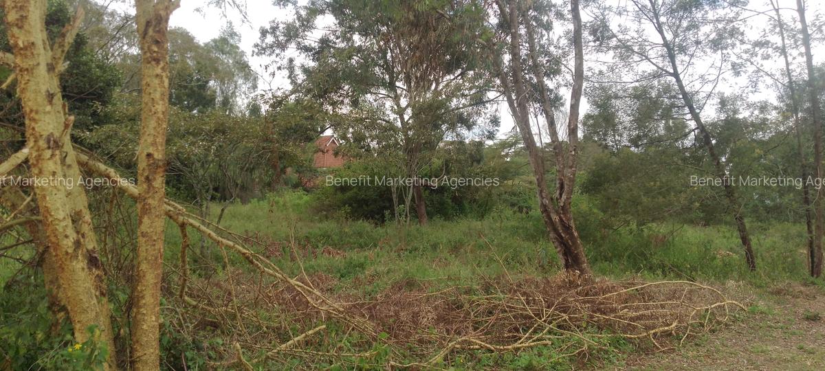 0.5 ac Land at Olepolos - 3