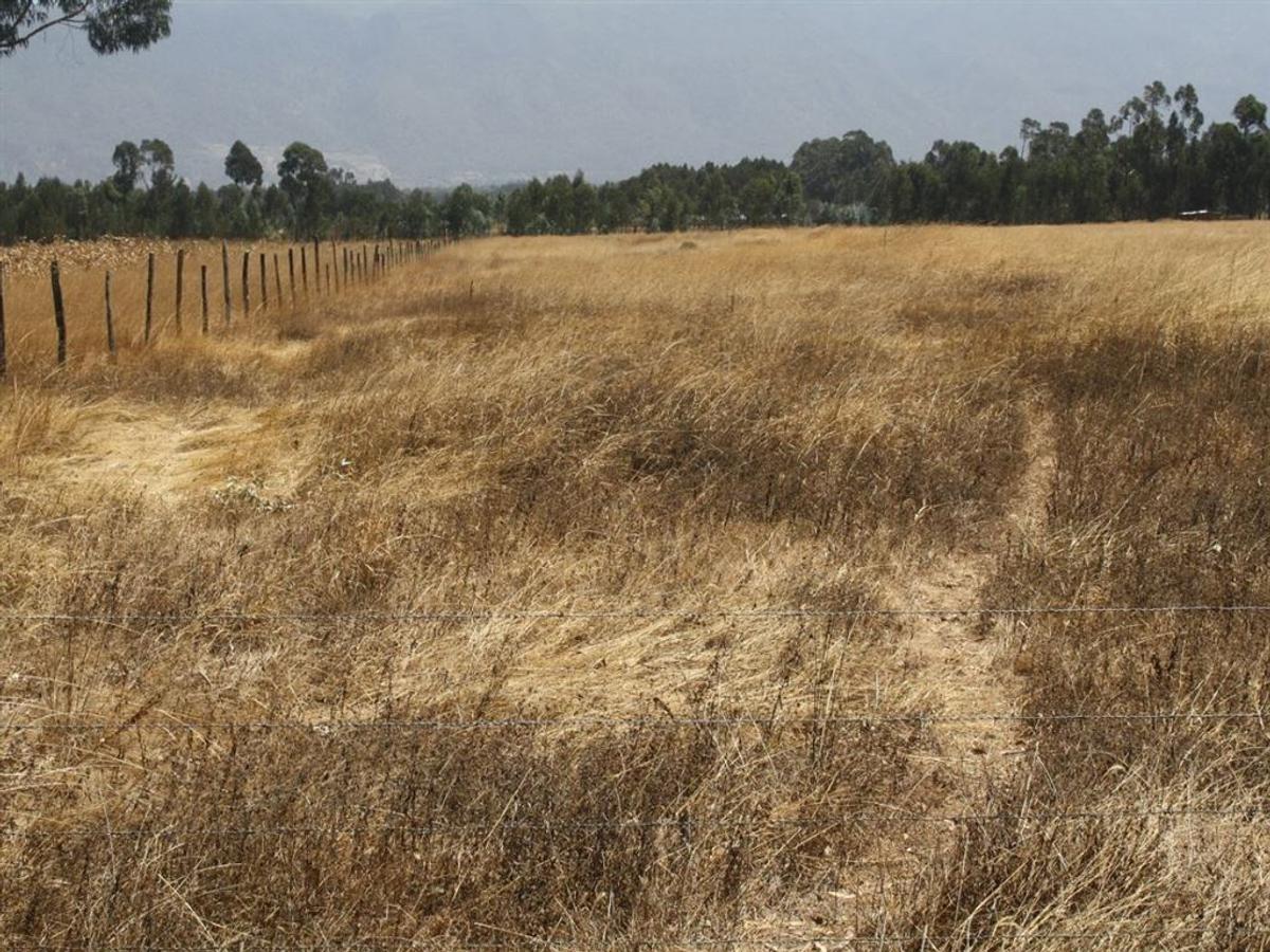30 ac land at njambini olkalou road