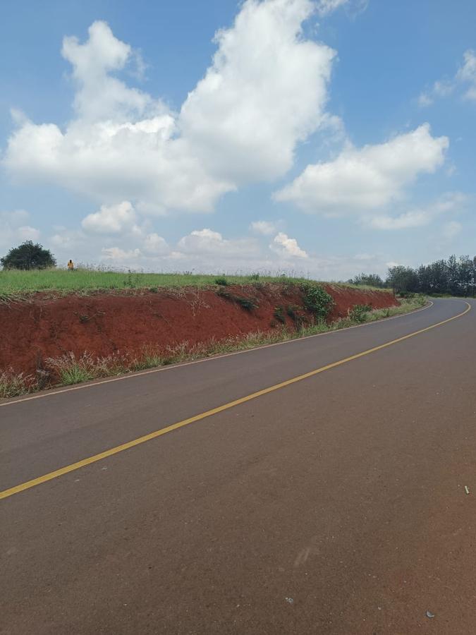 5 ac Land at Near Tatu City - 2