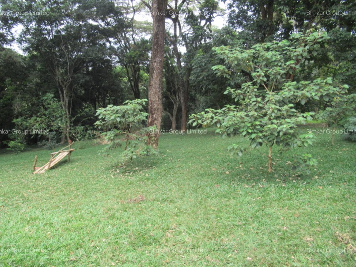 4 ac Land at Mushroom Gardens - 2