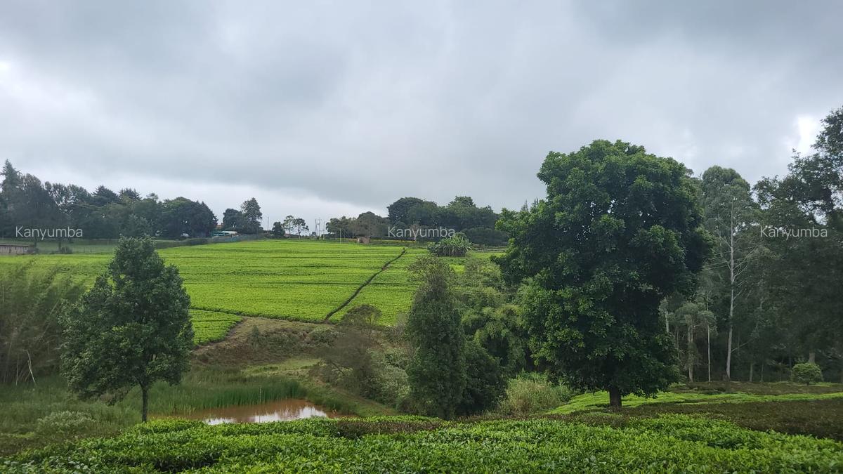 10 ac Land at Tigoni - 2