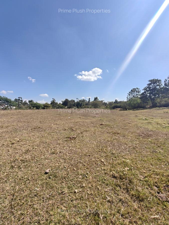 20 ac Land in Karen - 11