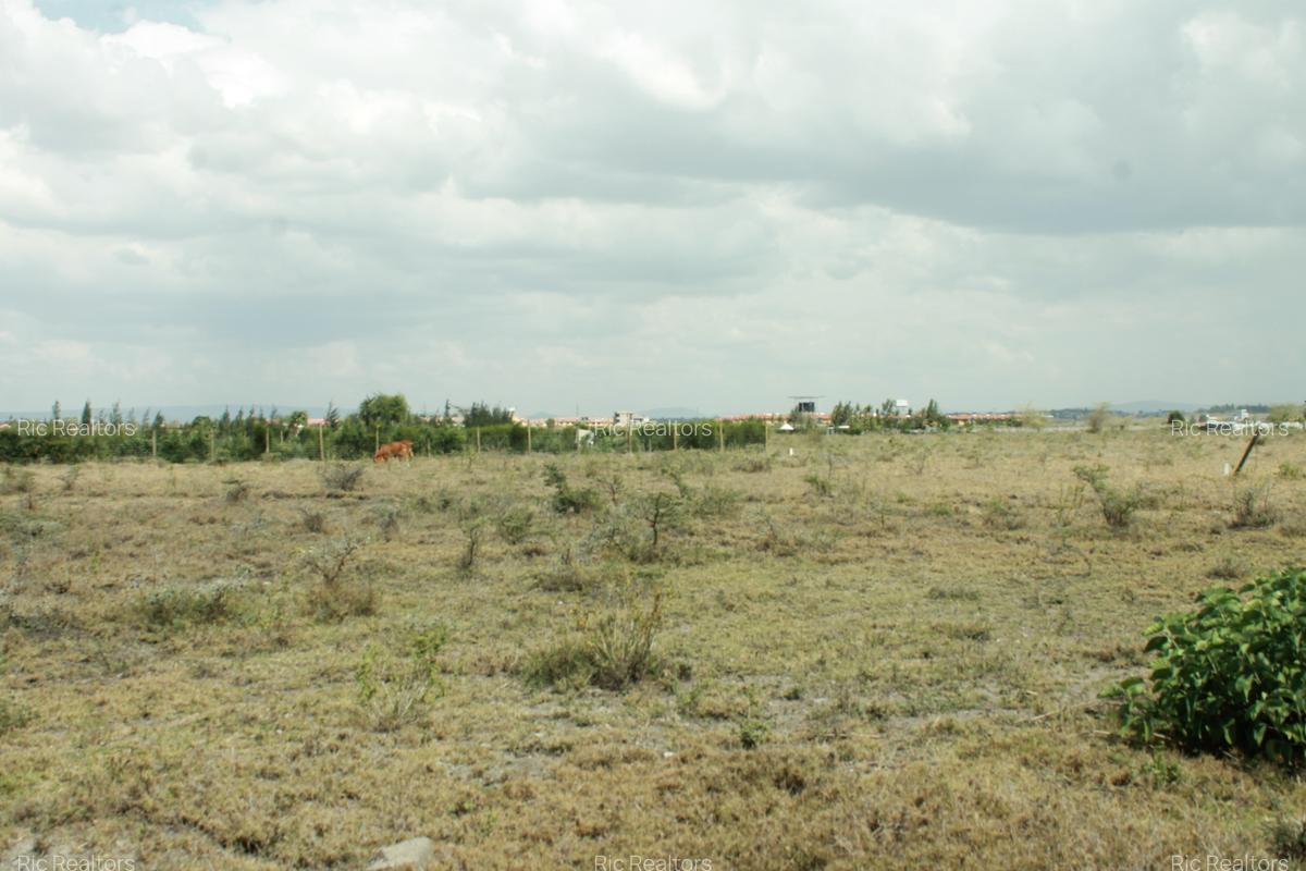 0.075 ha Land at Kitengela - Pine Breeze Estate - 7