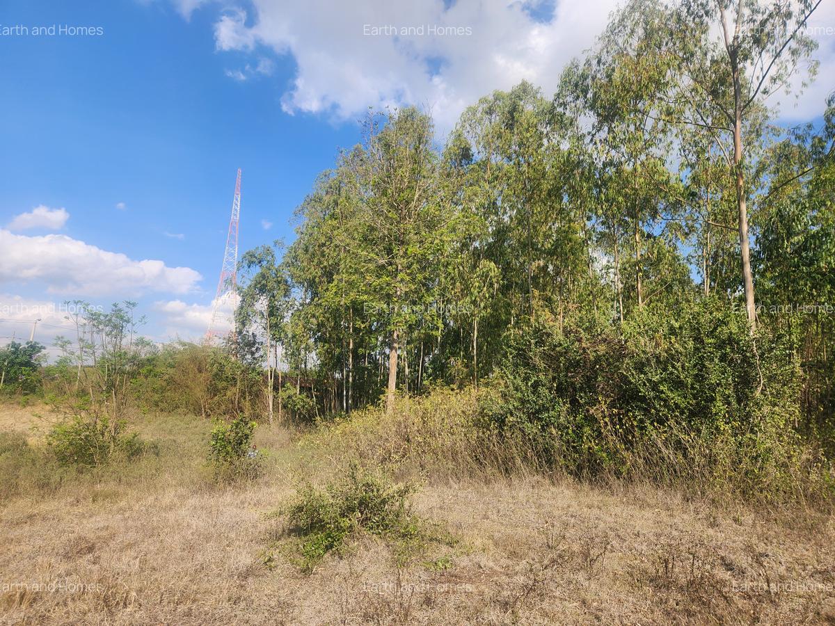 1 ac Commercial Land at Kerarapon - 2
