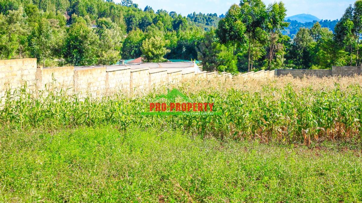 0.05 ha Residential Land at Ondiri - 4