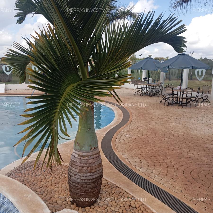 Serviced 2 Bed Apartment with En Suite in Tatu City - 11