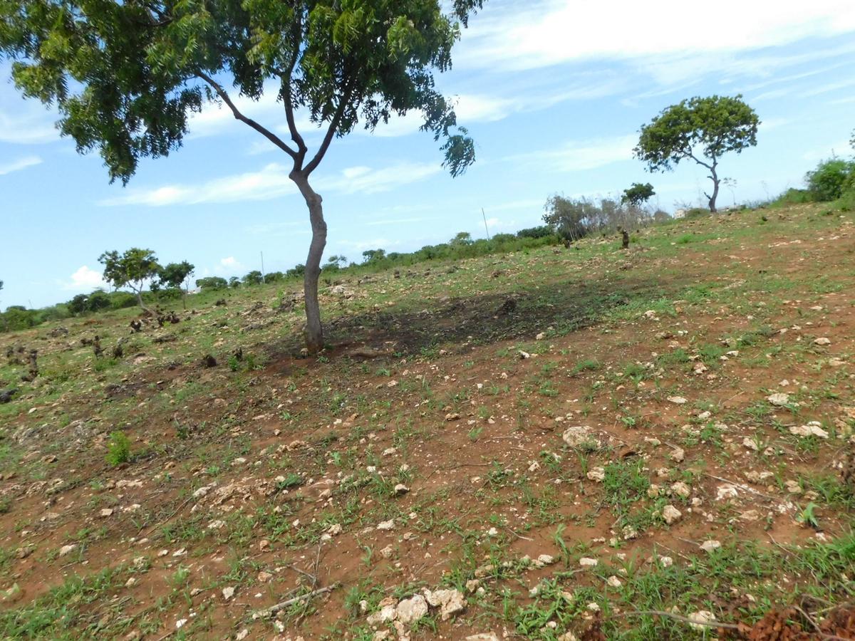 10,000 ft² Land at Vipingo - 9