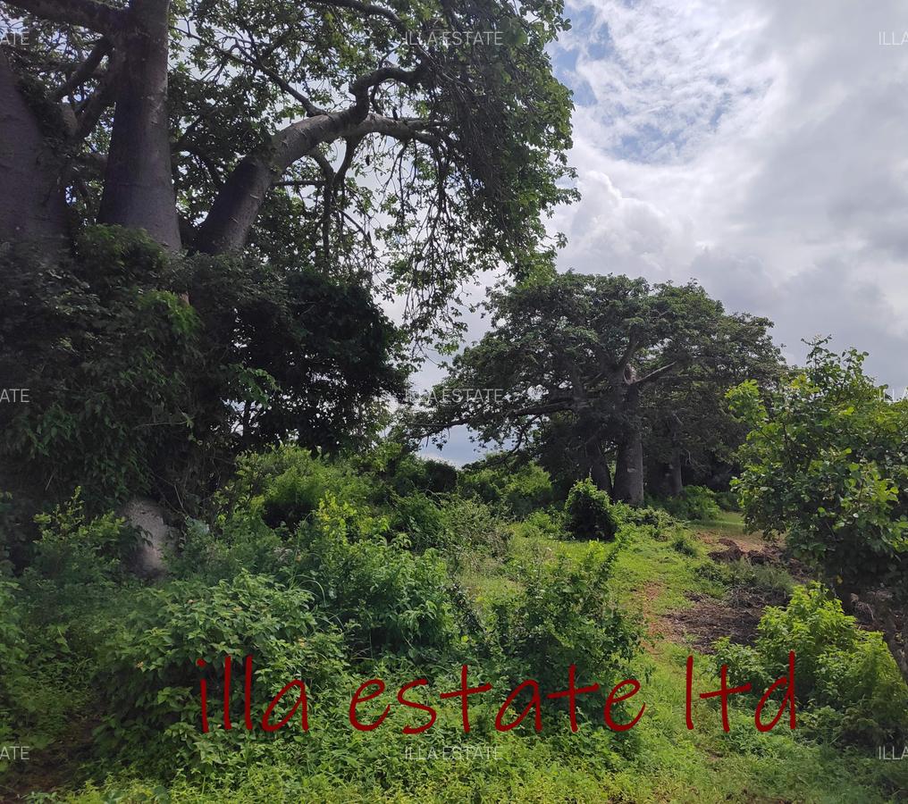 0.25 ac Land at Diani Beach Road - 3
