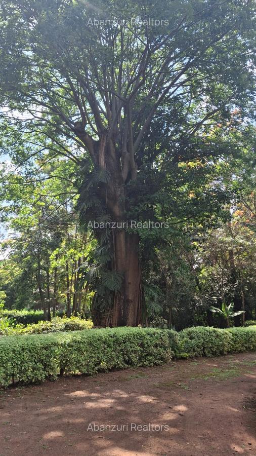 Land at Dagoretti Road - 7