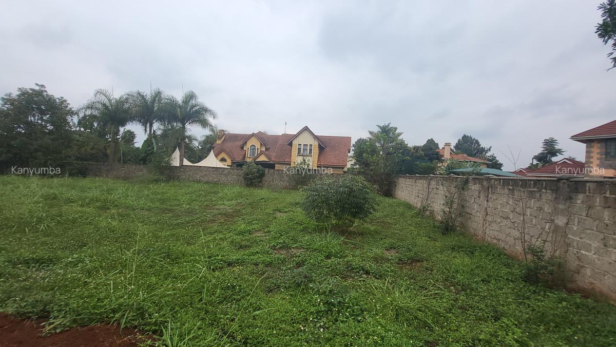 0.5 ac Land at Old Runda - 8