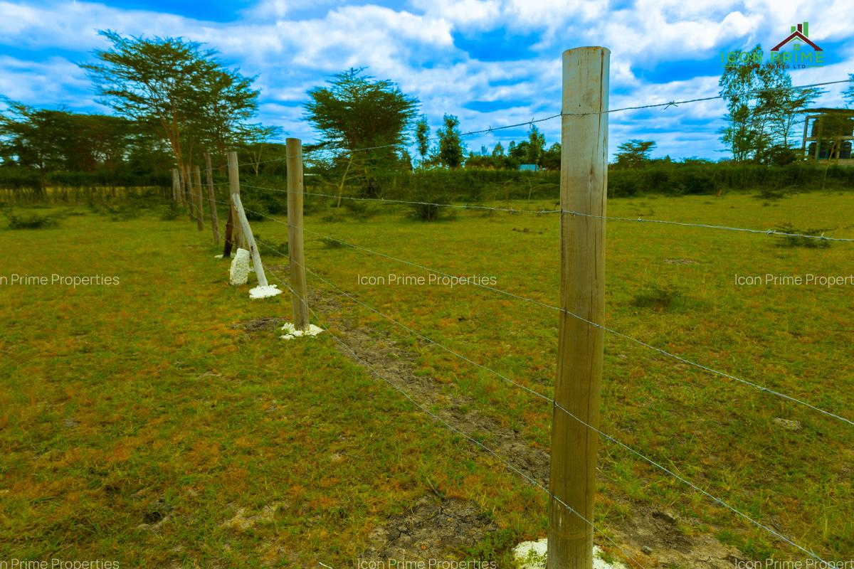 0.125 ac Land at Tala Area - 6