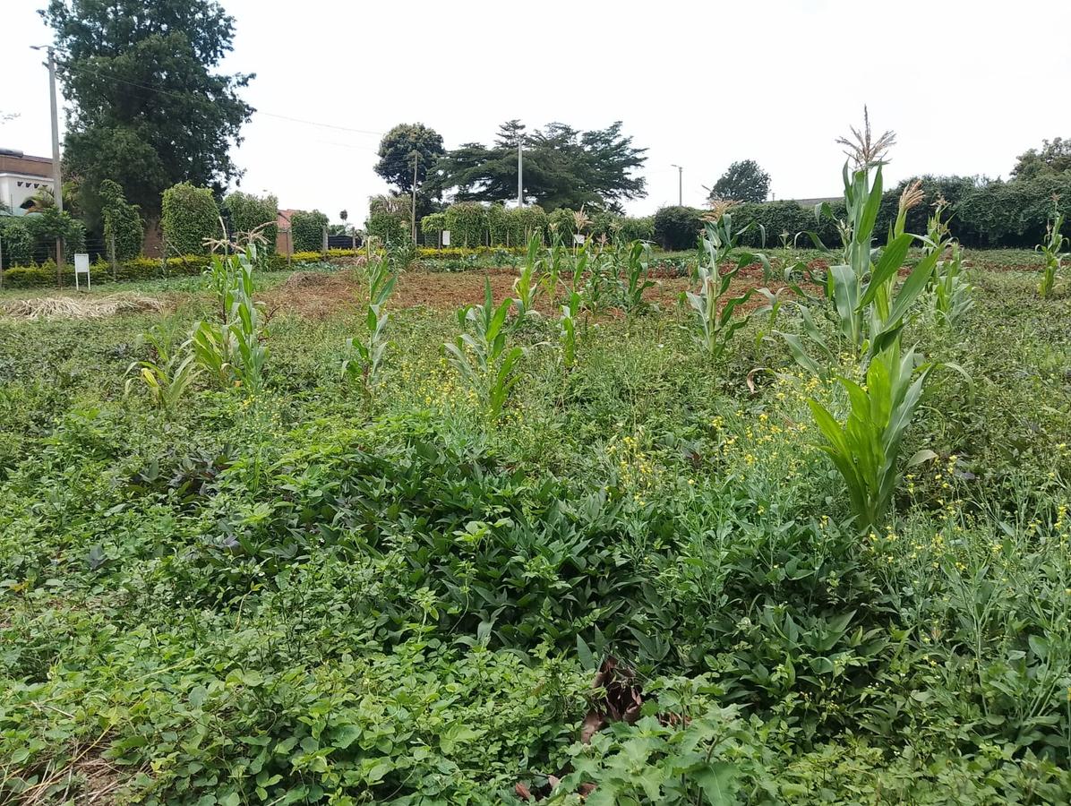 Residential Land in Runda - 3