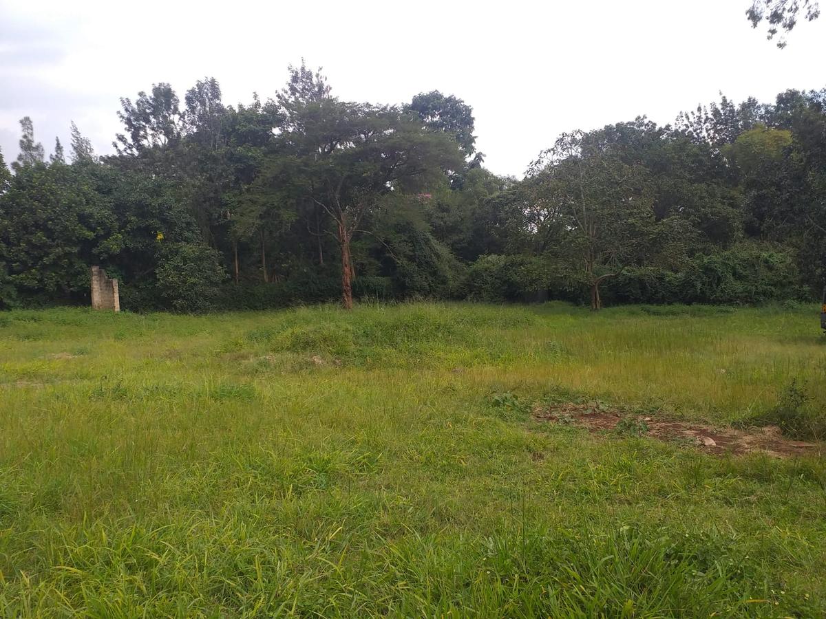 Land in Kitisuru - 1