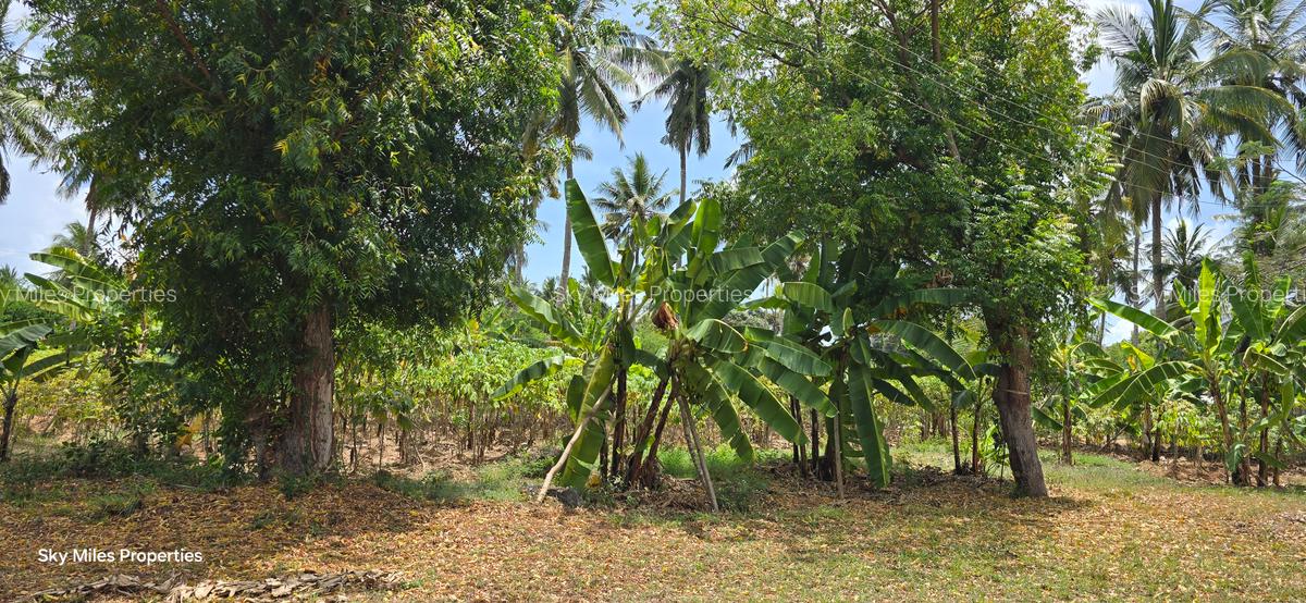 6 ac Land at Bomani - 18