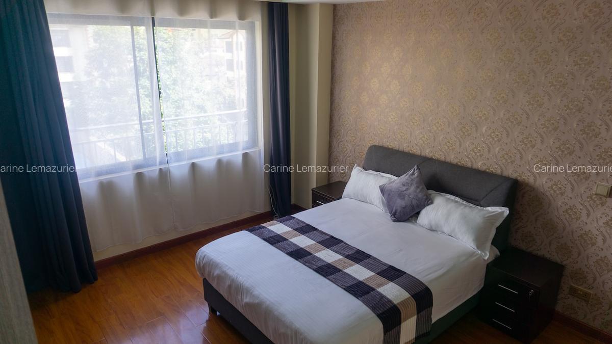 Furnished 3 Bed Apartment with En Suite at Denis Pritt Road - 15