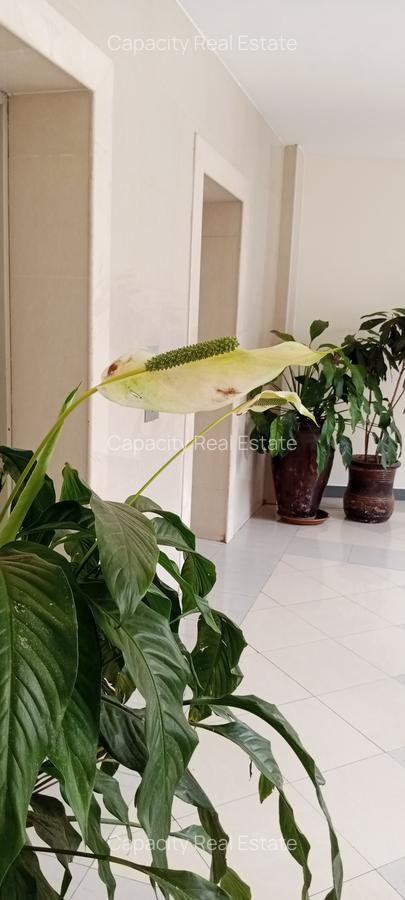 3 Bed Apartment with En Suite in Brookside - 5