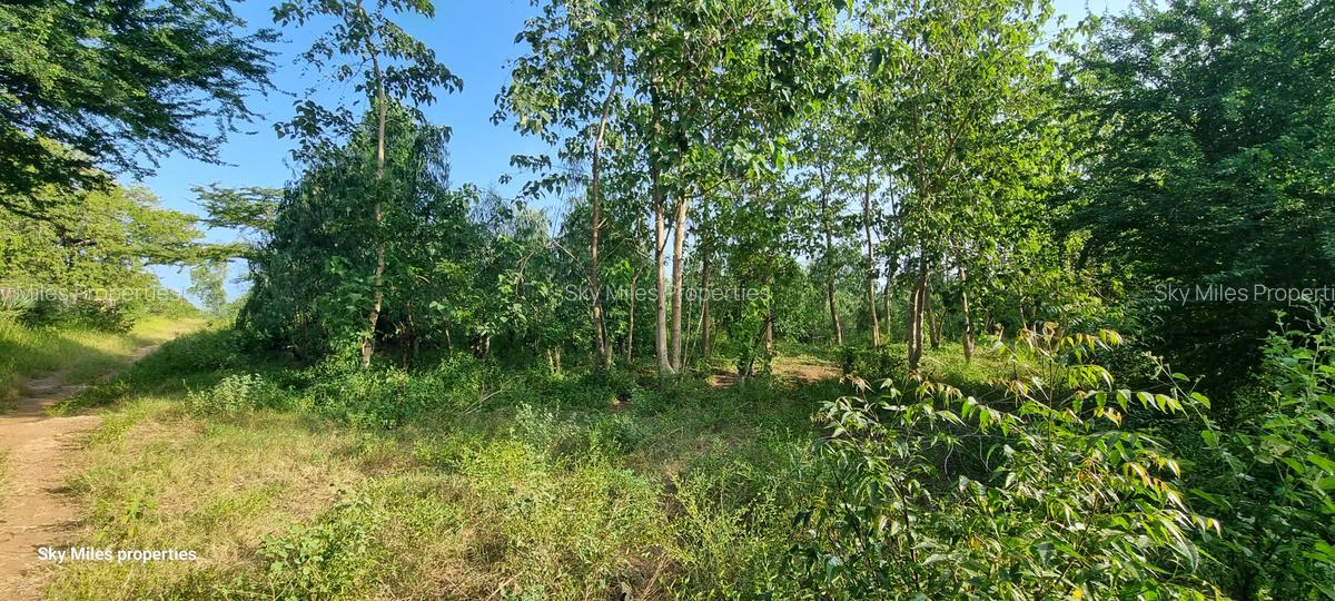 1 ac Land at Kijipwa - 13