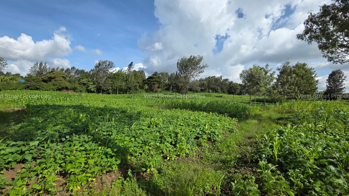 Commercial Property with Service Charge Included at Mutuini Primary - 8