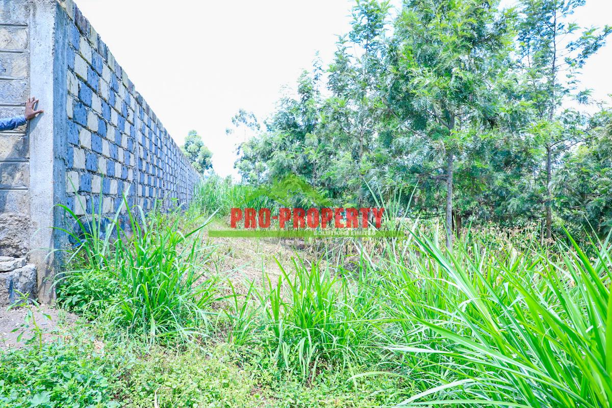 0.1 ha Residential Land at Thamanda - 5