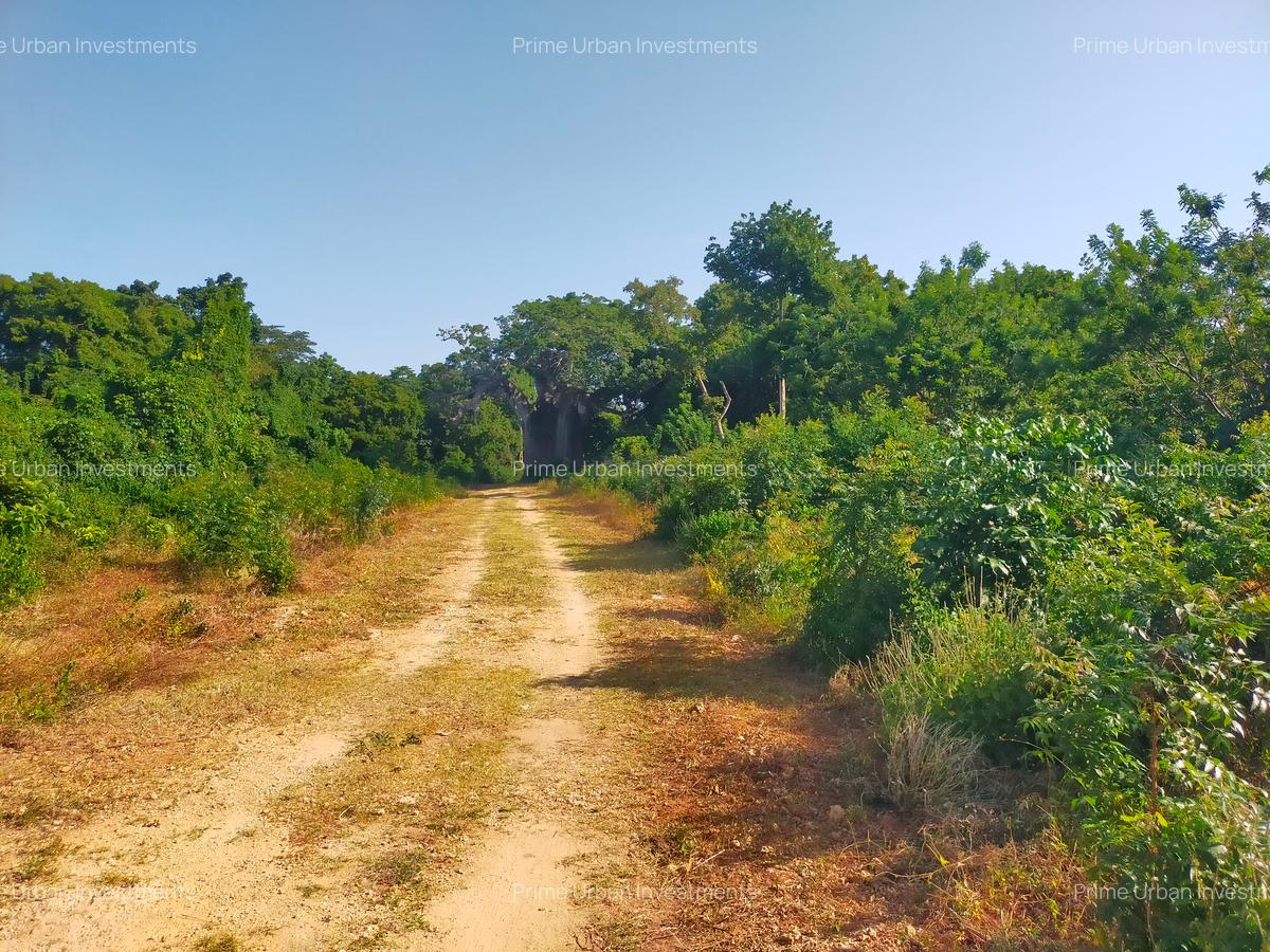 Land in Vipingo - 11