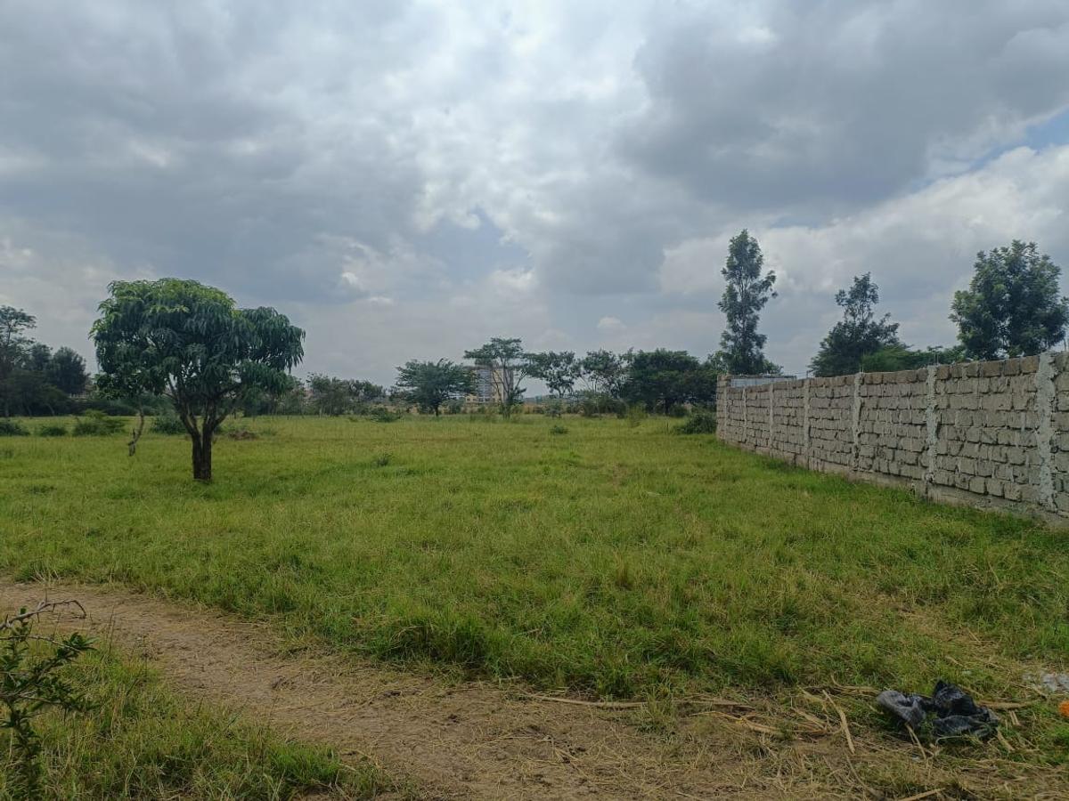 Commercial Land at Juja - 9