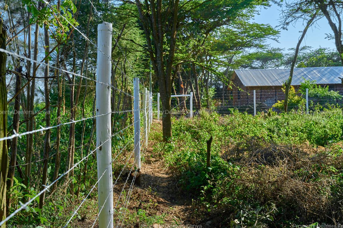 505 ac Land at Maiyan Road - 7