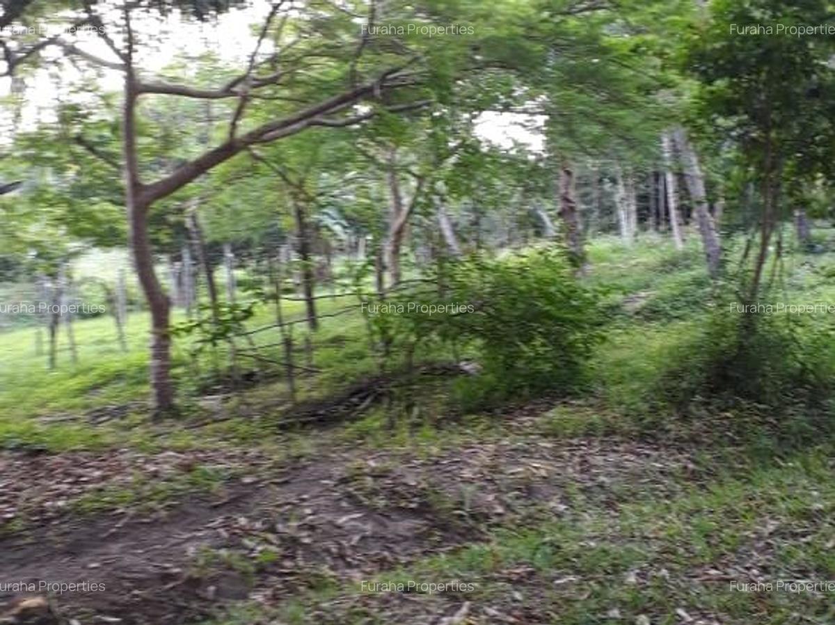 80,940 m² Commercial Land in Kwale County - 2