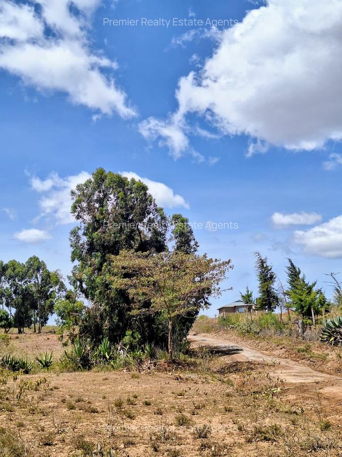 0.125 ac Residential Land at Lusigetti - 5