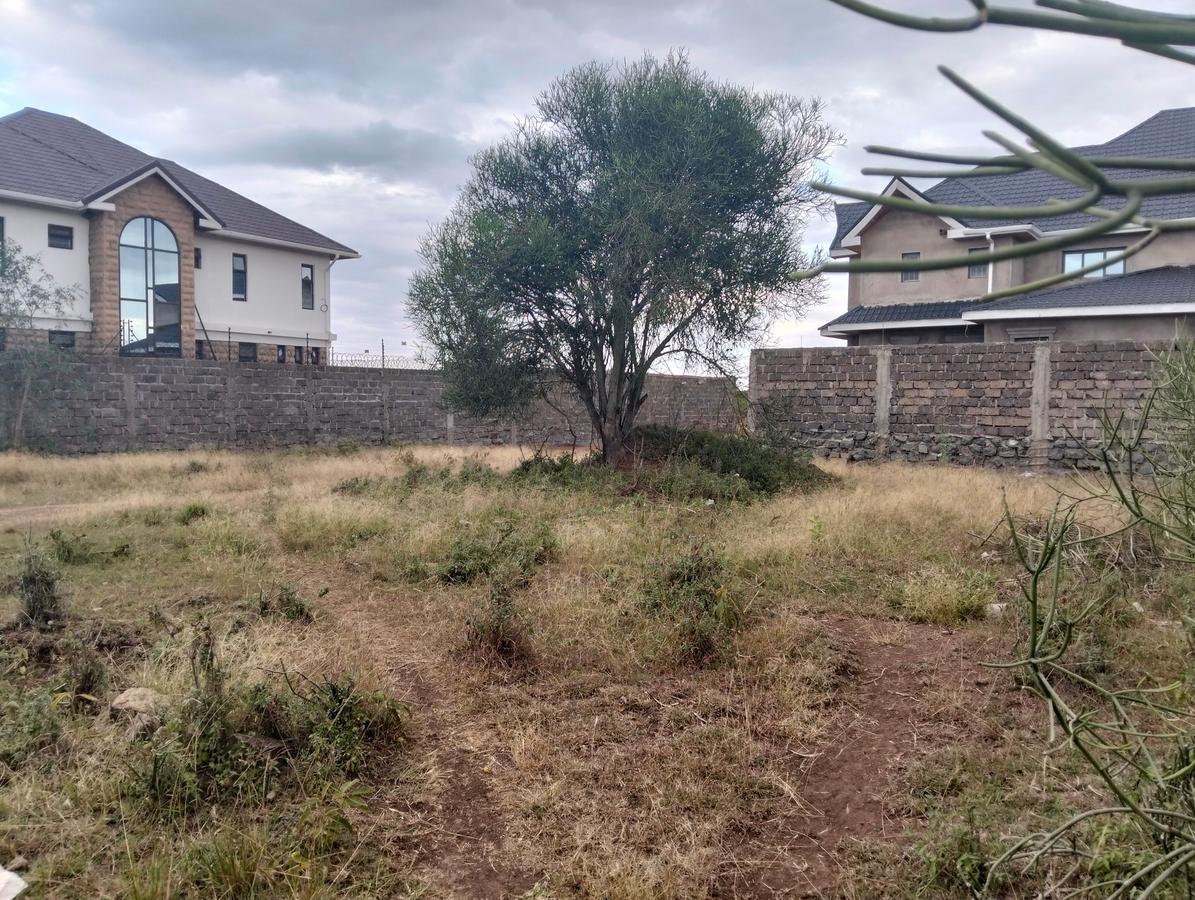 Residential Land at Twiga Estate - 2