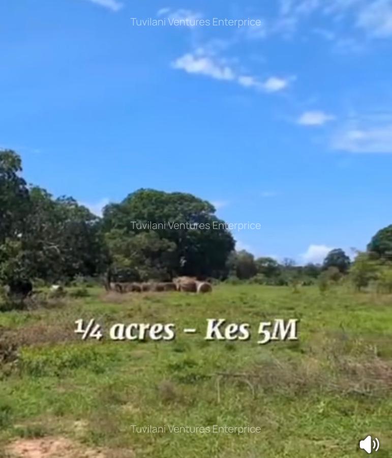 Land at Vipingo Kilifi - 10