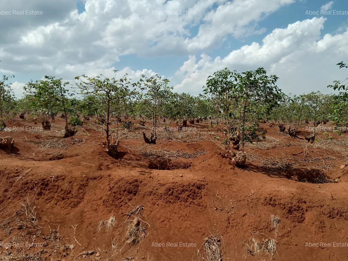 0.5 ac Residential Land at Runda Mumwe - 4