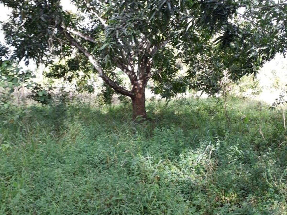 4,047 m² Commercial Land in Kilifi County - 6