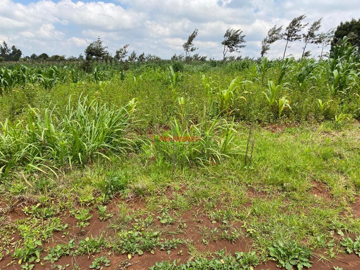 0.05 ha Residential Land in Kikuyu Town - 3