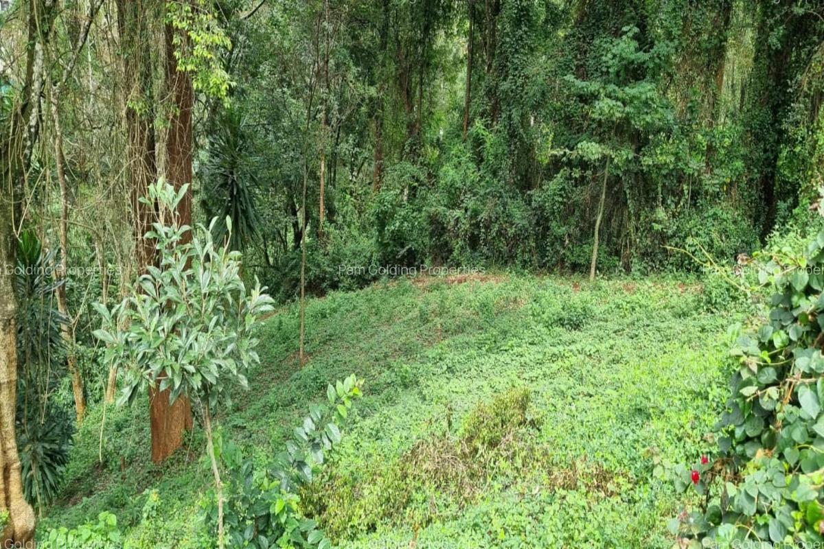 0.5 m² Land at Kitisuru Road - 3