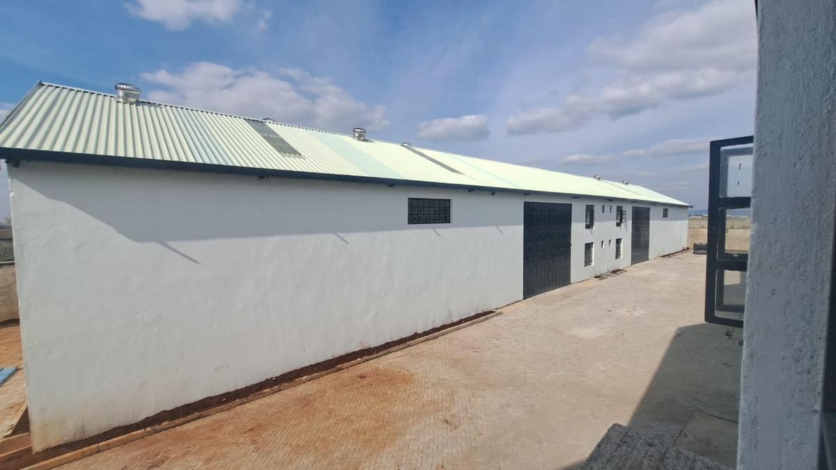 Warehouse with Service Charge Included in Mlolongo - 1