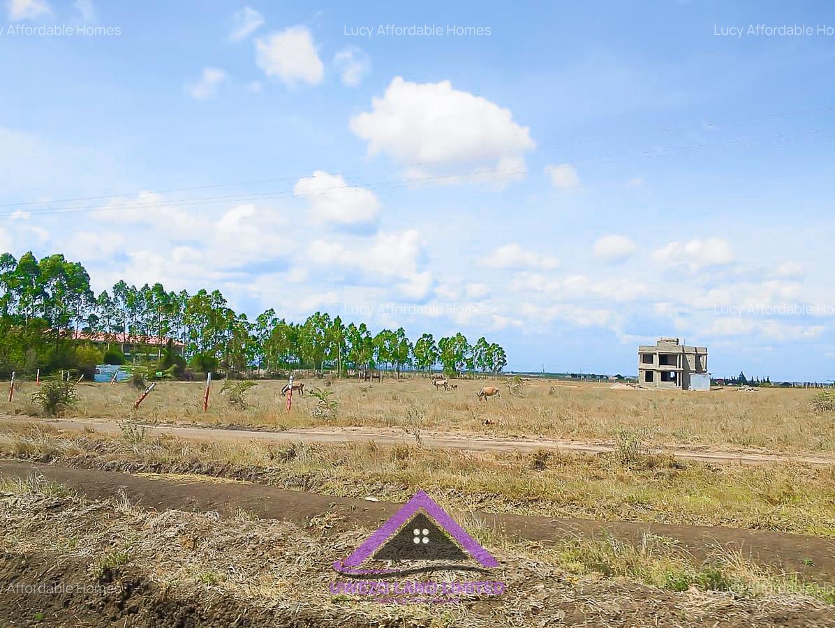 0.125 ac Land at Joska - 6