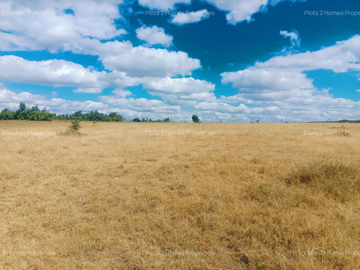 40 ac Land at Yukos - 9