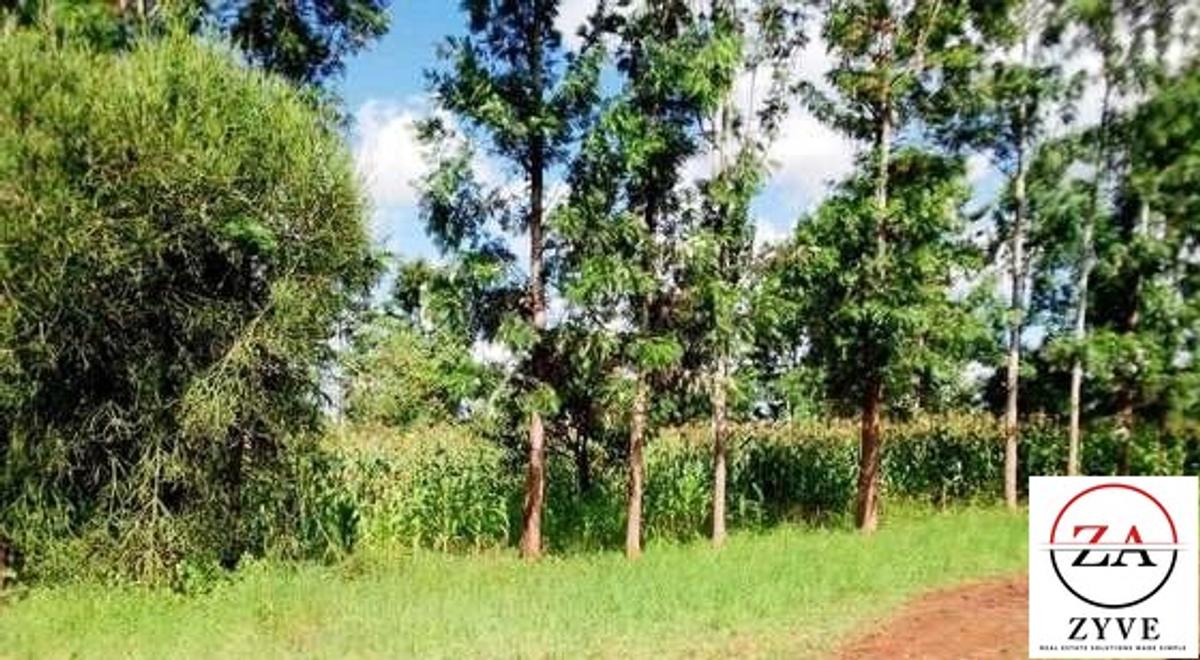 0.25 ac Land at Thika - 7