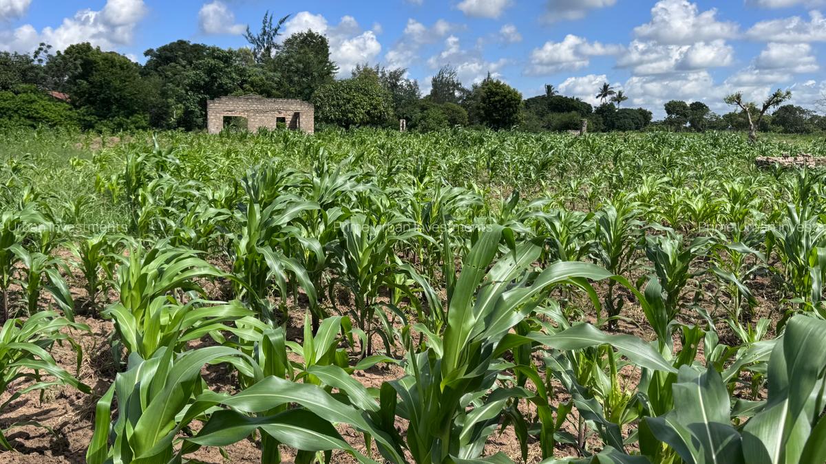 464 m² Land at Mavueni - 12