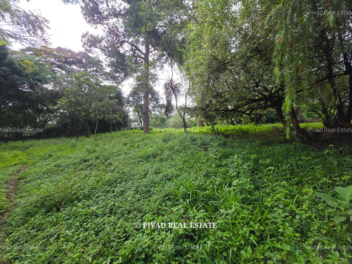 4.8 ac Land in Lower Kabete - 5