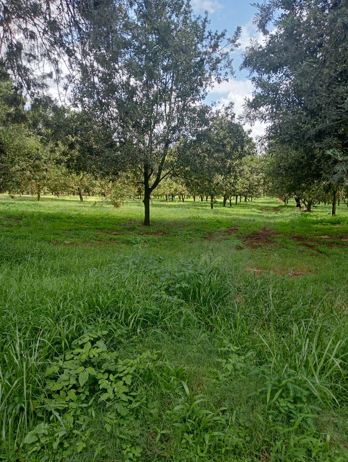 0.125 ac Land at Thika Grove Chania-Opposite Blue Post Hotel - 15