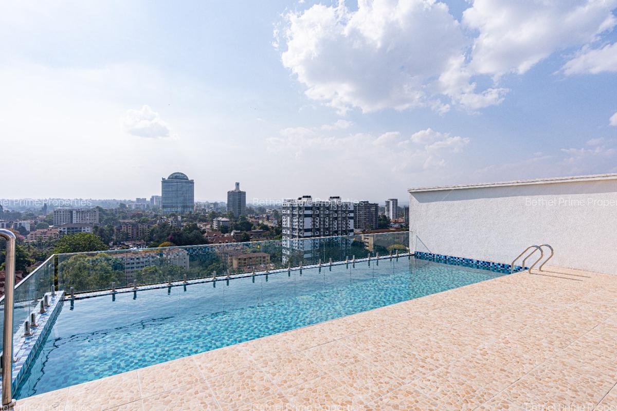 Furnished 1 Bed Apartment with En Suite in Rhapta Road - 9