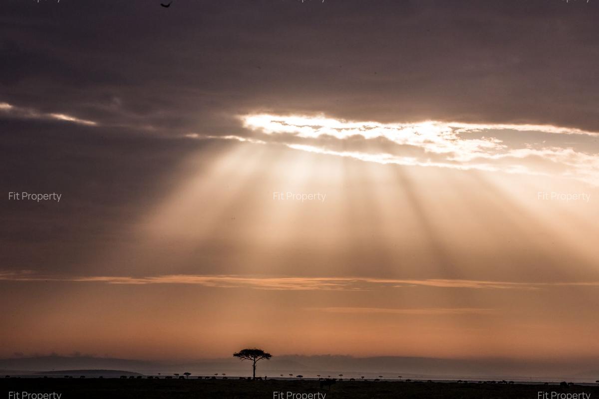 Commercial Property at Maasai Mara - 8