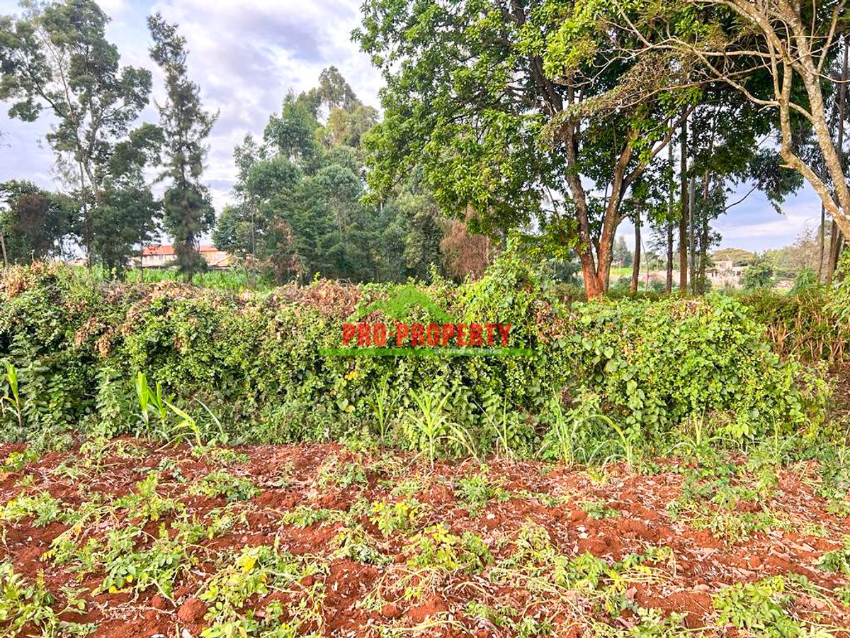 0.05 ha Residential Land at Ondiri - 5